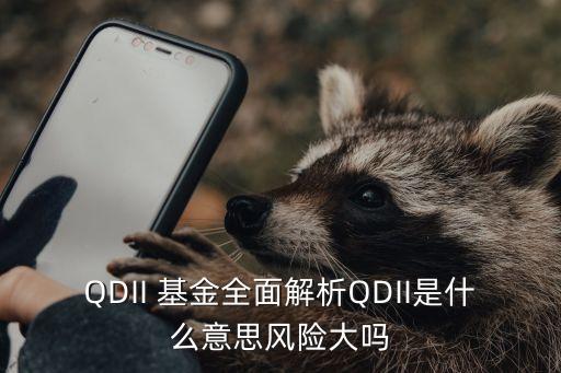 QDII 基金全面解析QDII是什么意思風(fēng)險大嗎