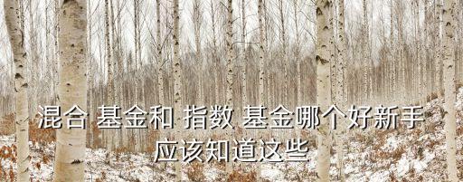 混合 基金和 指數(shù) 基金哪個(gè)好新手應(yīng)該知道這些