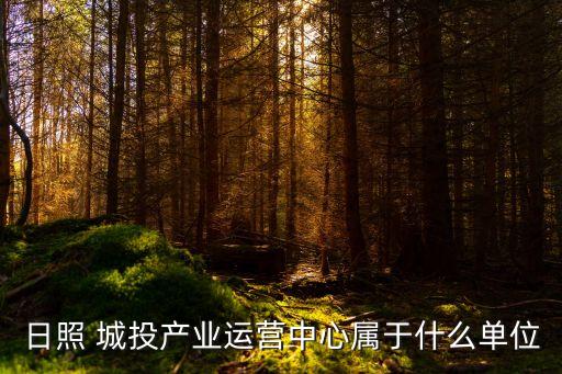 日照 城投產(chǎn)業(yè)運營中心屬于什么單位