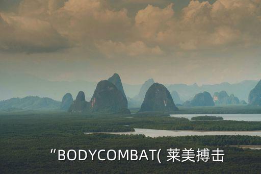 “BODYCOMBAT( 萊美搏擊