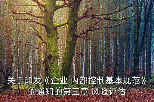 子公司內(nèi)部項目風(fēng)險評審標(biāo)準(zhǔn)