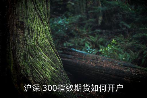 滬深 300指數(shù)期貨如何開戶