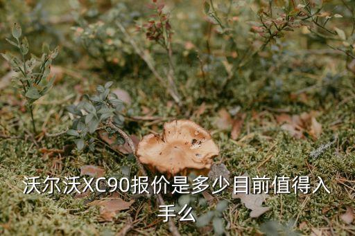 沃爾沃XC90報(bào)價(jià)是多少目前值得入手么