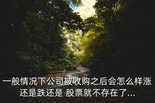 一般情況下公司被收購之后會(huì)怎么樣漲還是跌還是 股票就不存在了...