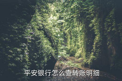  平安銀行怎么查轉(zhuǎn)賬明細(xì)