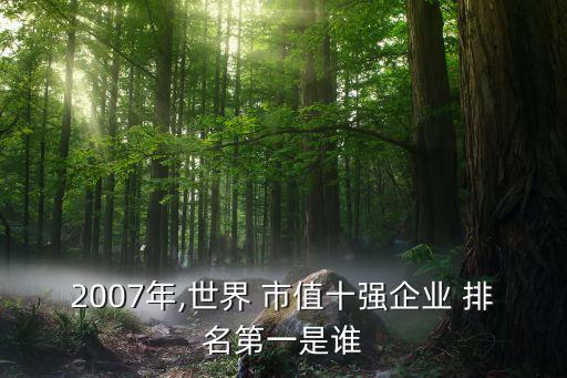 2007年,世界 市值十強企業(yè) 排名第一是誰