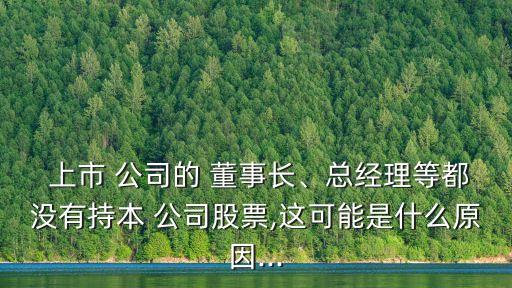  上市 公司的 董事長、總經(jīng)理等都沒有持本 公司股票,這可能是什么原因...