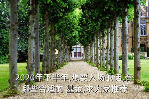 2020年下半年,想要入場(chǎng)的話,有哪些合適的 基金,求大家推薦