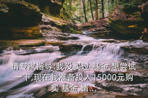 請專家指導:我沒買過 基金,想嘗試一下,現(xiàn)在我準備投入15000元購買 基金,請...