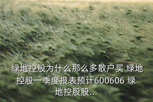  綠地控股為什么那么多散戶買 綠地控股一季度報表預(yù)計600606 綠地控股股...