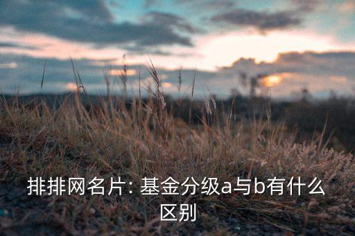 排排網(wǎng)名片: 基金分級a與b有什么區(qū)別