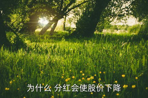 為什么 分紅會(huì)使股價(jià)下降