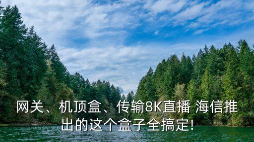 網(wǎng)關(guān)、機頂盒、傳輸8K直播 海信推出的這個盒子全搞定!