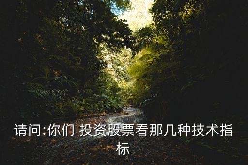 請問:你們 投資股票看那幾種技術(shù)指標(biāo)