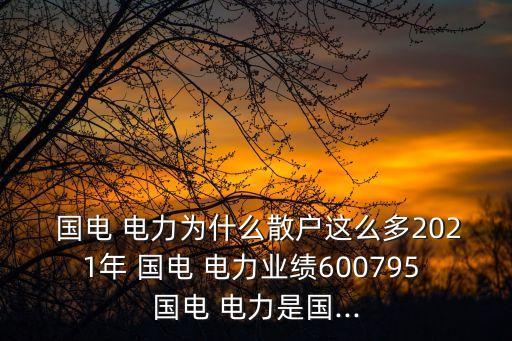  國(guó)電 電力為什么散戶(hù)這么多2021年 國(guó)電 電力業(yè)績(jī)600795 國(guó)電 電力是國(guó)...