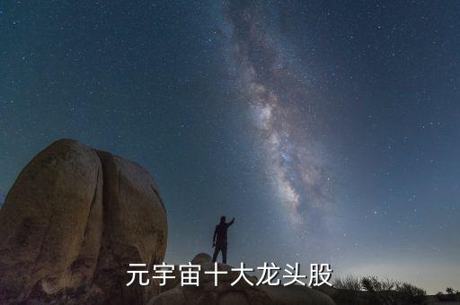 元宇宙十大龍頭股