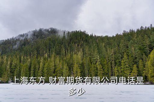 上海東方財富網(wǎng)地址,盛美上海東方財富網(wǎng)