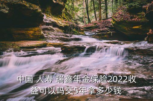 中國(guó) 人壽 瑞鑫年金保險(xiǎn)2022收益可以嗎交5年拿多少錢