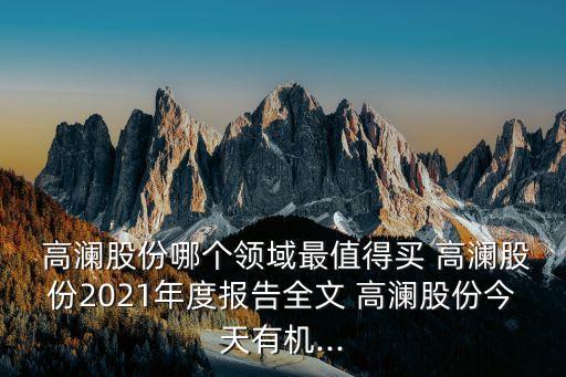  高瀾股份哪個領域最值得買 高瀾股份2021年度報告全文 高瀾股份今天有機...