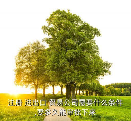 注冊 進出口 貿(mào)易公司需要什么條件,要多久能審批下來