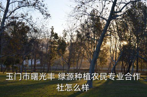 玉門(mén)市曙光豐 綠源種植農(nóng)民專業(yè)合作社怎么樣