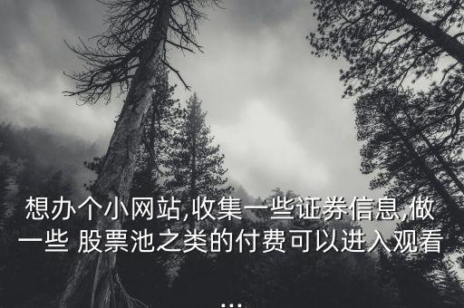 想辦個小網(wǎng)站,收集一些證券信息,做一些 股票池之類的付費可以進入觀看...