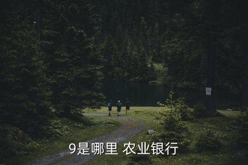 河北農業(yè)銀行逛網,農業(yè)銀行河北分行