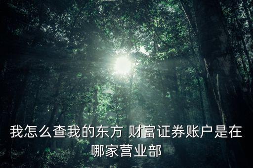 我怎么查我的東方 財(cái)富證券賬戶是在哪家營業(yè)部