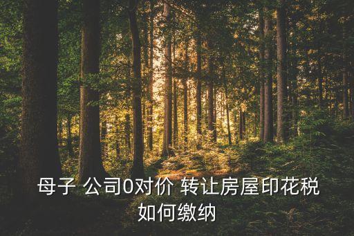  母子 公司0對(duì)價(jià) 轉(zhuǎn)讓房屋印花稅如何繳納