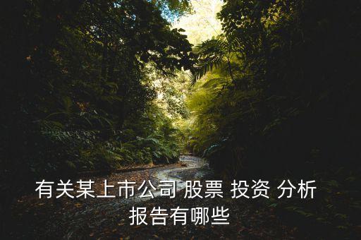 有關某上市公司 股票 投資 分析 報告有哪些