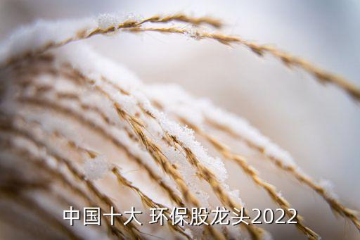 中國十大 環(huán)保股龍頭2022