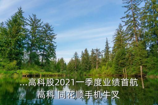 ...高科股2021一季度業(yè)績首航高科 同花順手機牛叉