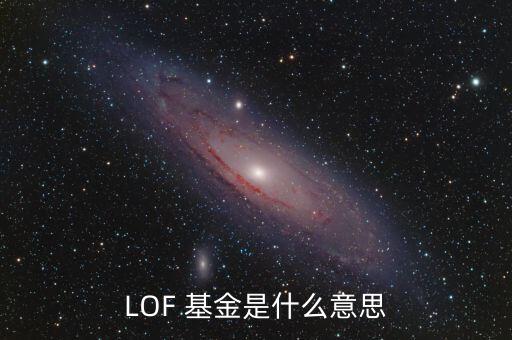 LOF 基金是什么意思