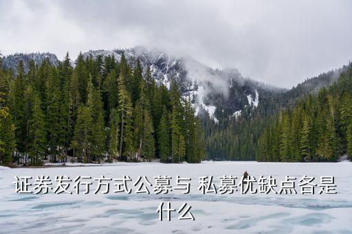 證券發(fā)行方式公募與 私募優(yōu)缺點(diǎn)各是什么