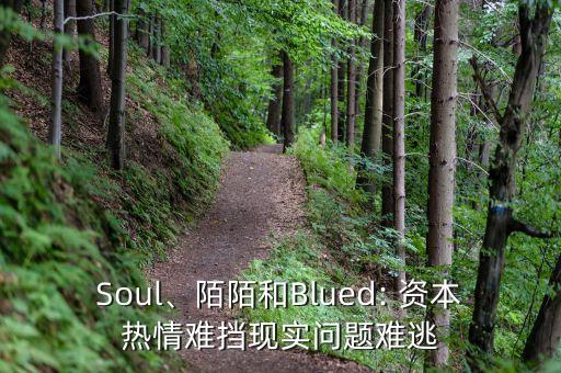 Soul、陌陌和Blued: 資本熱情難擋現(xiàn)實(shí)問題難逃