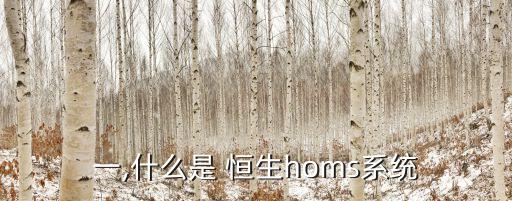 一,什么是 恒生homs系統(tǒng)