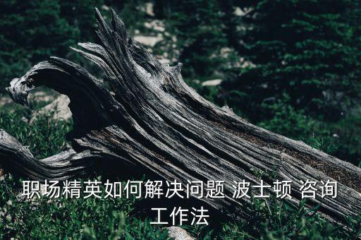 波士頓咨詢公司網(wǎng)絡,bcg波士頓咨詢公司