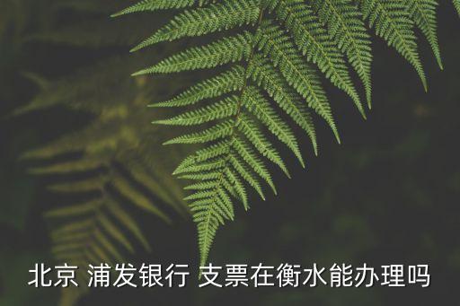 北京 浦發(fā)銀行 支票在衡水能辦理嗎