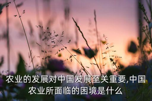 農(nóng)業(yè)的發(fā)展對中國發(fā)展至關(guān)重要,中國農(nóng)業(yè)所面臨的困境是什么