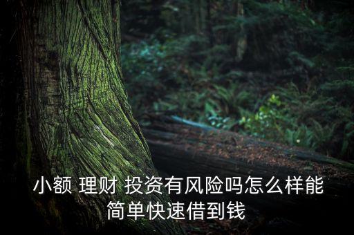  小額 理財 投資有風(fēng)險嗎怎么樣能簡單快速借到錢