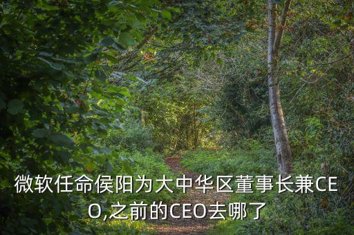 微軟任命侯陽(yáng)為大中華區(qū)董事長(zhǎng)兼CEO,之前的CEO去哪了