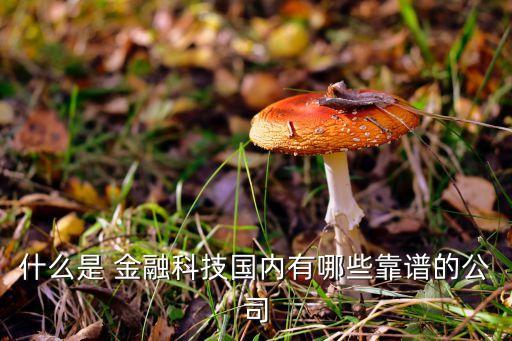 什么是 金融科技國內(nèi)有哪些靠譜的公司