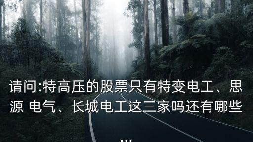 請(qǐng)問:特高壓的股票只有特變電工、思源 電氣、長(zhǎng)城電工這三家嗎還有哪些...