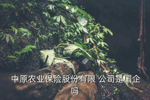  中原農(nóng)業(yè)保險(xiǎn)股份有限 公司是國企嗎