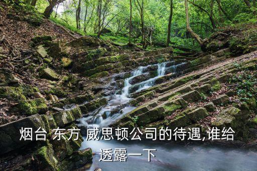 煙臺(tái) 東方 威思頓公司的待遇,誰給透露一下