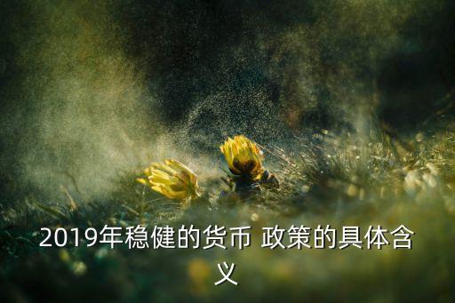 2019年穩(wěn)健的貨幣 政策的具體含義