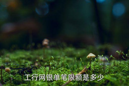 工行網(wǎng)銀單筆限額是多少