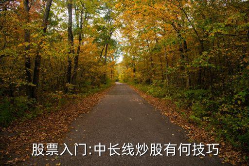  股票入門:中長(zhǎng)線炒股有何技巧