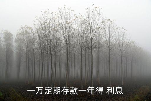 一萬(wàn)定期存款一年得 利息