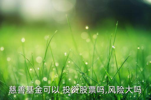 慈善基金可以 投資股票嗎,風(fēng)險大嗎